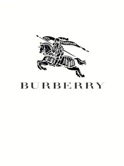 巴宝莉(burberry)是英国服饰奢侈品牌[1],由thomas burberry于1856年