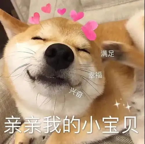 萌宠汪星人亲亲我的小宝贝满足呆萌可爱gif动图_动态图_表情包下载