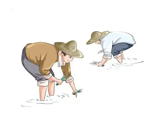 劳作简约漫画风格农村农耕知识宣传文化墙农耕文化墙农田耕作拖拉机