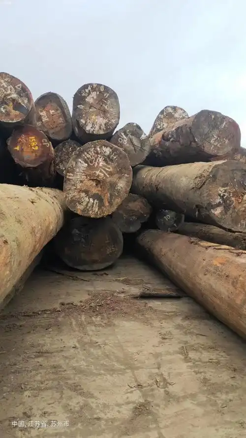 八果木大比马杂木红樱桃原木生产加工厂家