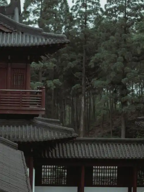 丽水白云山国家森林公园白云寺