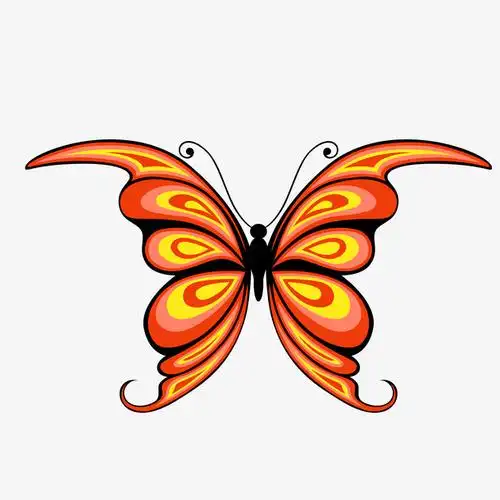 卡通橙色的蝴蝶设计