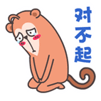 对不起 - 屌丝猴表情包_猴子_屌丝表情