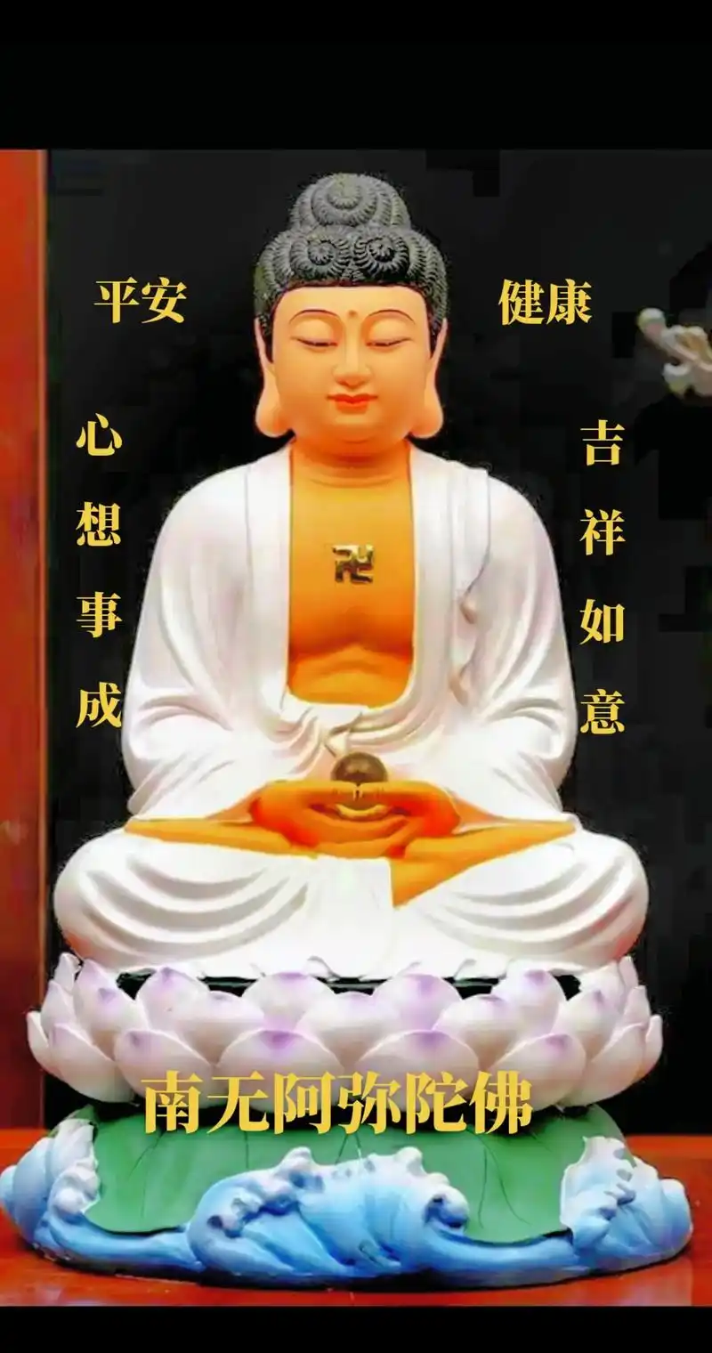 莲花朵朵开.#南无阿弥陀佛05 #好运莲莲 #见者好运 #好 - 抖音