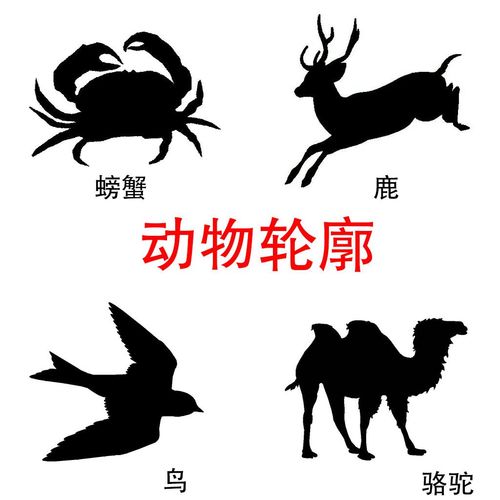 动物轮廓图认知卡儿童学习孤独症儿童认知卡片康复训练教具早教