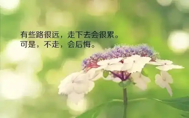 写到心窝里的人生感悟经典句子酸甜苦辣自己尝喜怒哀乐自己扛