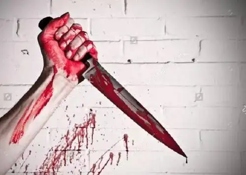 不休时, rachel从厨房里走了出来,薇薇愤怒之下,从包里 掏出一把尖刀