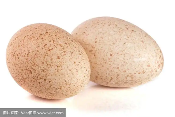 特写,火鸡蛋,两个物体,白色背景,分离着色