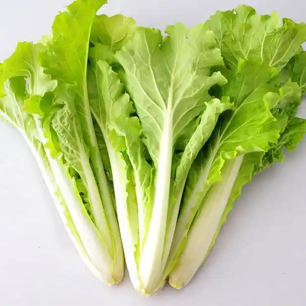 上游夜雨丨三都河:腊味小白菜