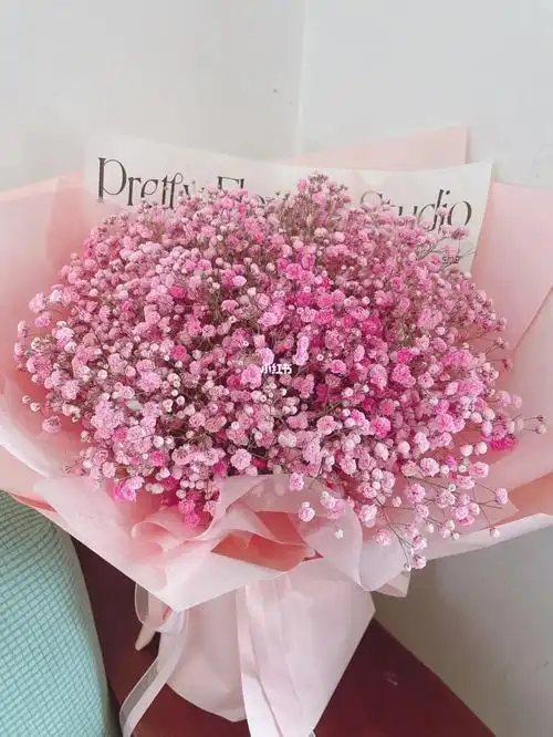 粉色满天星花束