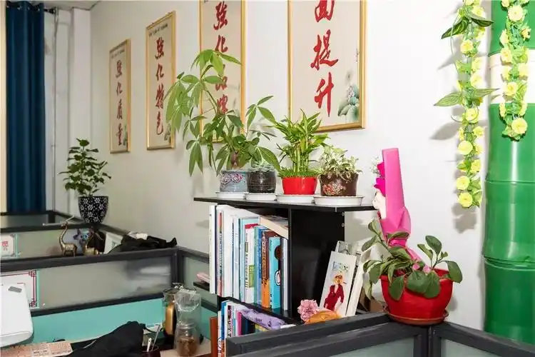 树优良高雅师德师风——记我校开展教师办公室文化建设评比活动