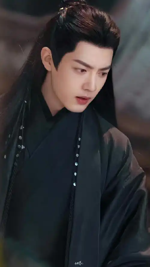 唐三 ,时影,魏无羡,好有置顶的那张藏海  肖战真是古装的神