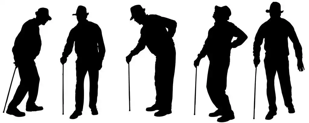 这位老人的向量轮廓.