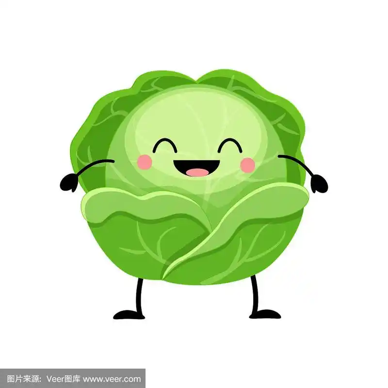 扁平花柱孤立的卷心菜