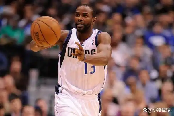 nba历史上昙花一现的10大球星