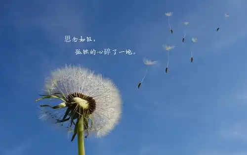 让人心碎伤心的说说图片,高清壁纸图片,非主流-回车桌面