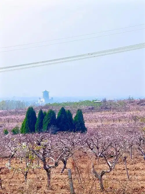 泰安市泰山区清明假日文化旅游市场安全有序