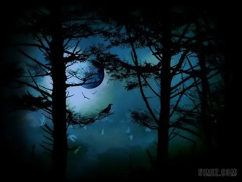 森林月亮图片大全-森林月亮高清图片下载-觅知网
