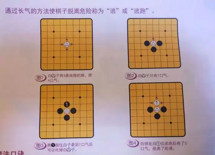 围棋还有很多规则呢,具体在下棋的过程中遇到可以拍照来找我提问哦
