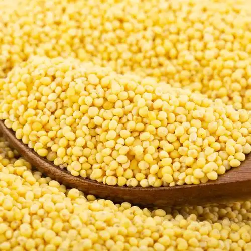 东北粘大黄米黍米2023年新米现磨农家粽子米软黄米糜子米粽叶包邮