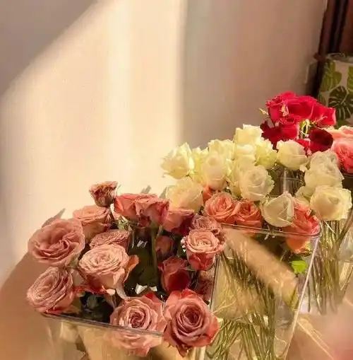 背景图 | 干净韩系ins风背景图 676767