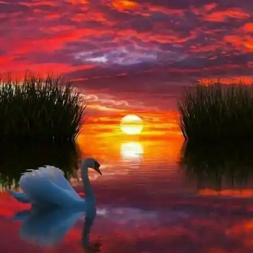 美美的视觉享受美景微信头像适合中老年人的头像