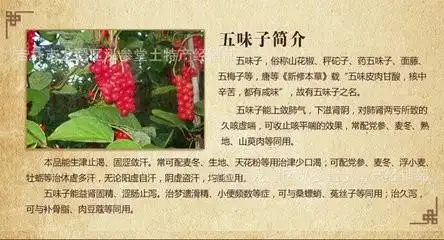 本草纲目·草部·五味子