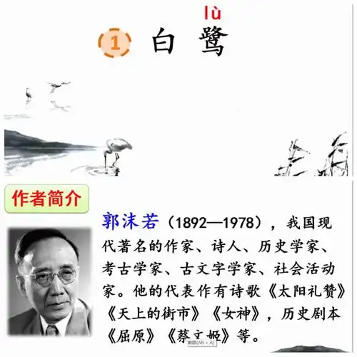 读书笔记打卡#笔记灵感#五年级语文#阅读理解#白鹭#郭沫若