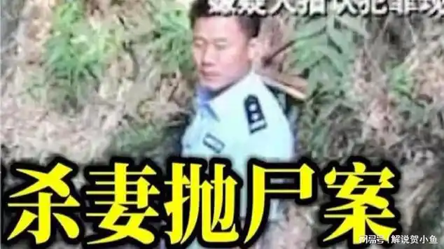 杀妻抛尸案:一时激愤男子持斧疯狂几句唠叨妻子埋骨深洞|犯罪|案件