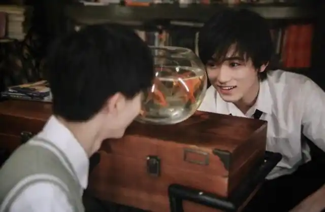 tnt《回到夏天》pb高清扫图释出 "我们的夏天永远不会结束"