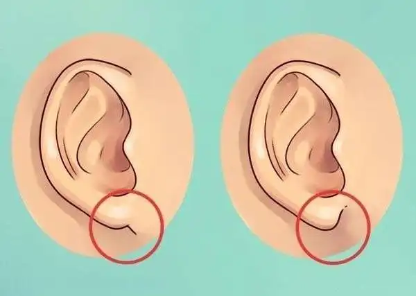 从耳朵的垂珠即耳垂看人的性格与命运