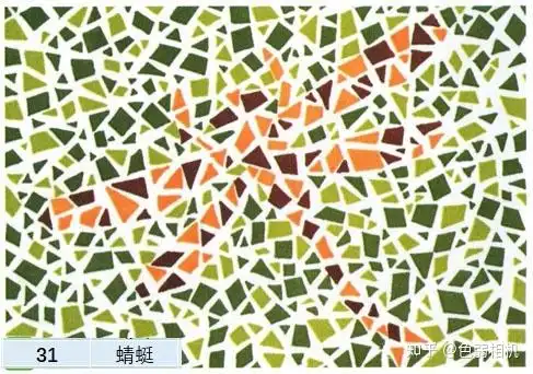 色盲检测图第五版驾考体检征兵专用