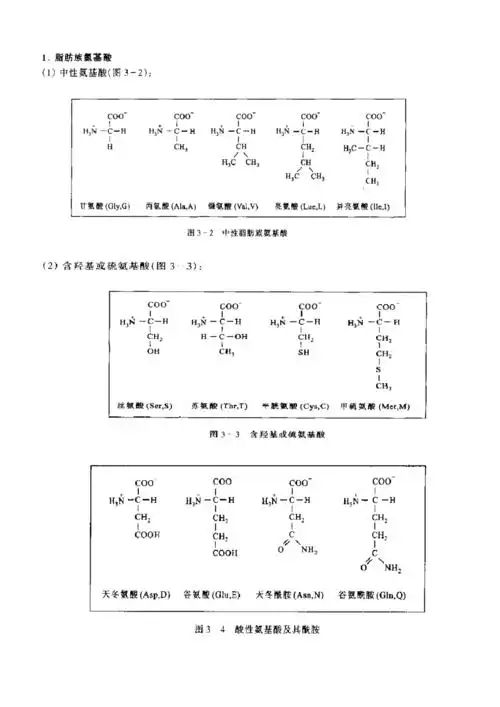 20种氨基酸化学结构式pdf
