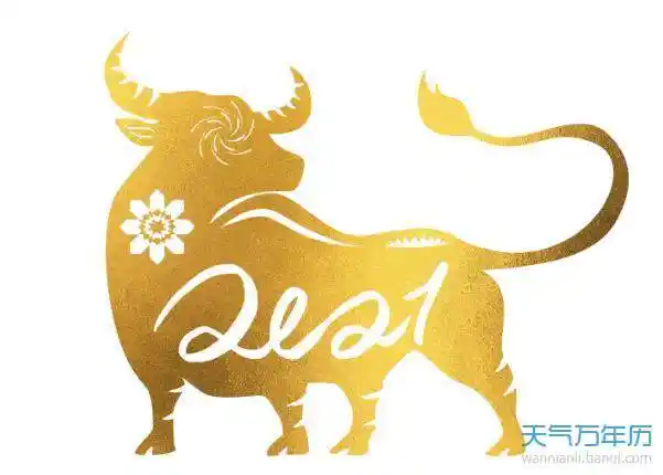 属牛的今年多大