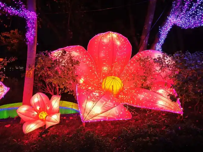 2020年惠州西湖花灯