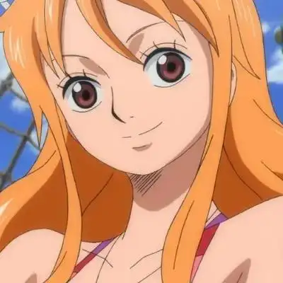 女血型:x型身高:170 cm娜美简介娜美是《海贼王》漫画的女主角,是