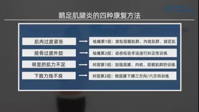 跑步内侧膝痛原因不明小心是鹅足肌腱炎