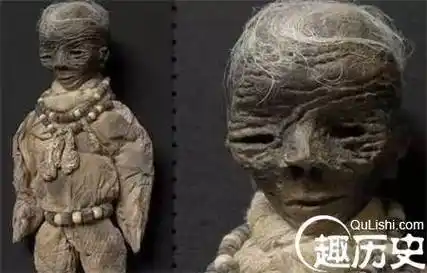 18公分小人干尸之谜 世界上实拍真的小小人真实案例(图片)