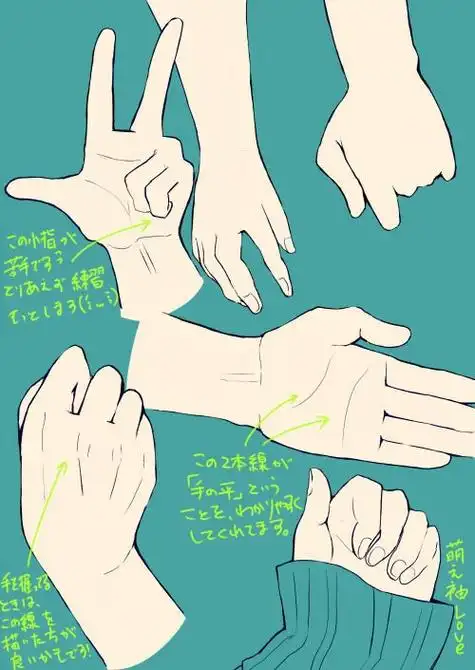 绘画教程#画师るりあ 676767的一组不同的手势参… - 半次元