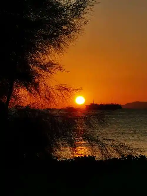 日落西山夕阳红