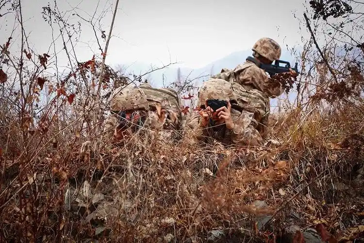 仔细看荒漠迷彩和野外丛林的组合_新浪财经_新浪网