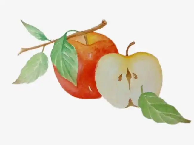 手绘苹果_手绘苹果png素材-90设计