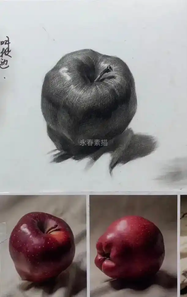 素描静物单体蛇果的画法步骤.#零基础学画画 ##美术生 #绘 - 抖音