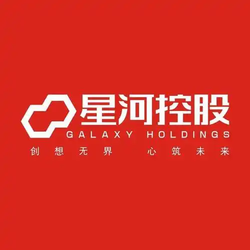 星河控股集团投资机构