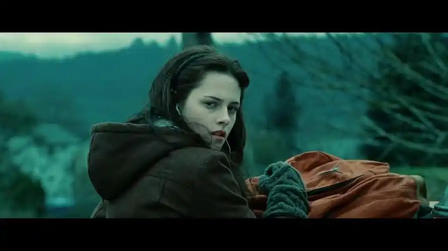 怎么能没有twilight暮光之城