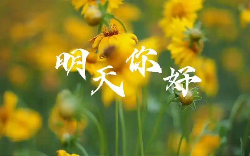 明天你好手语舞