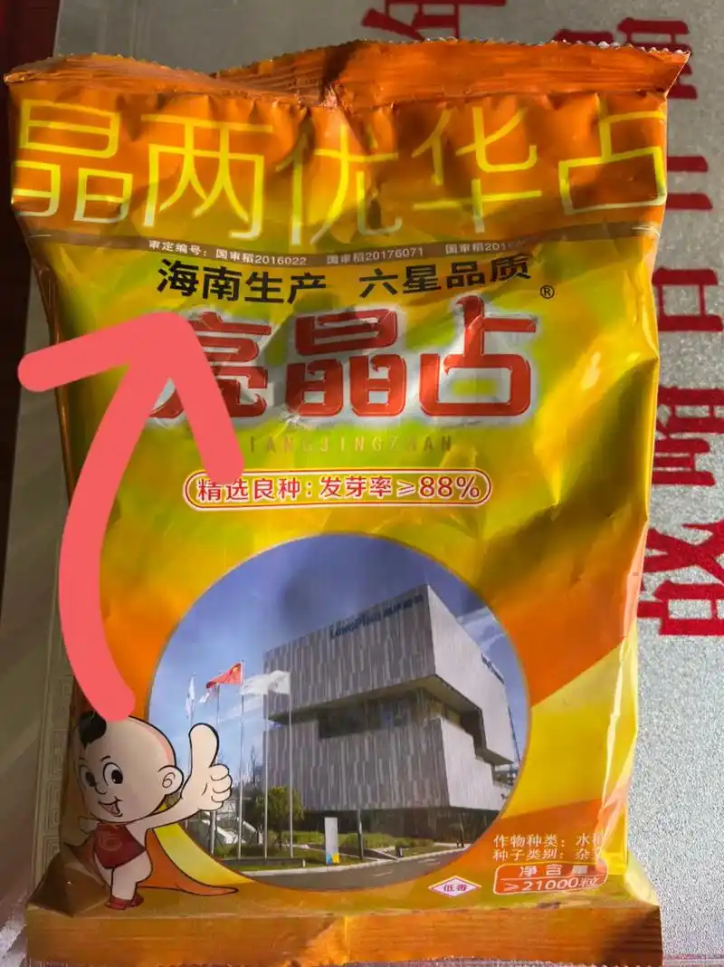 粮食人       晶两优华占海南种火爆销售 - 抖音