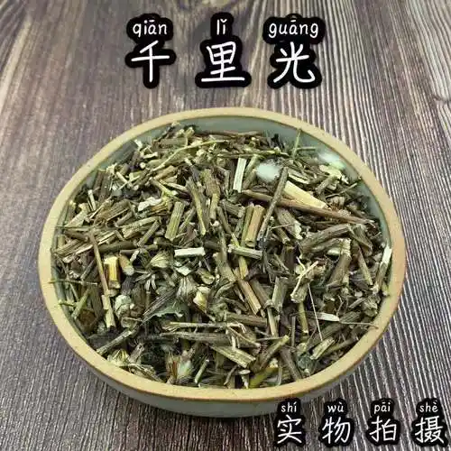 野生千里光草药材店铺九里明 九里光 黄花母-阿里巴巴