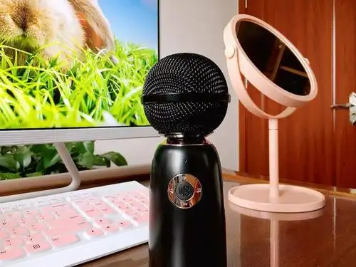 与《向往的生活》合作,唱吧精灵麦克风q3,首发亮相李佳琦直播间