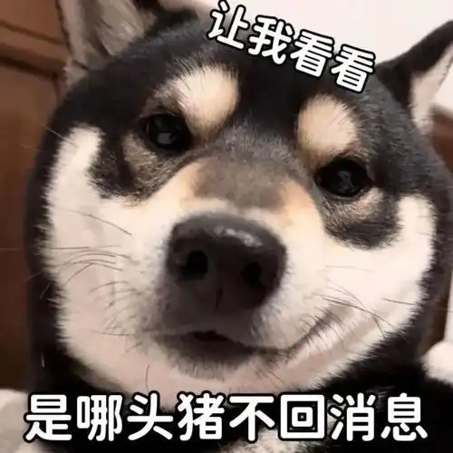 表情包:沙雕表情